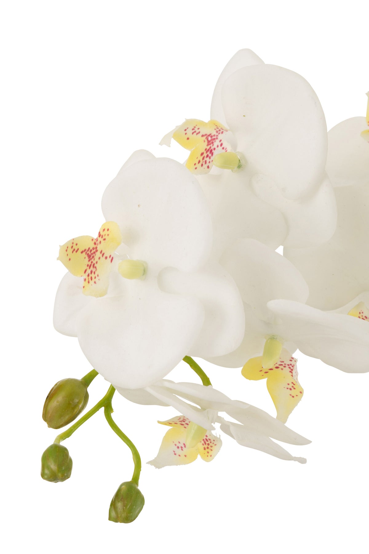 Orchidée en terre plastique blanc/vert, grande taille, 32 x 32 x 75 cm