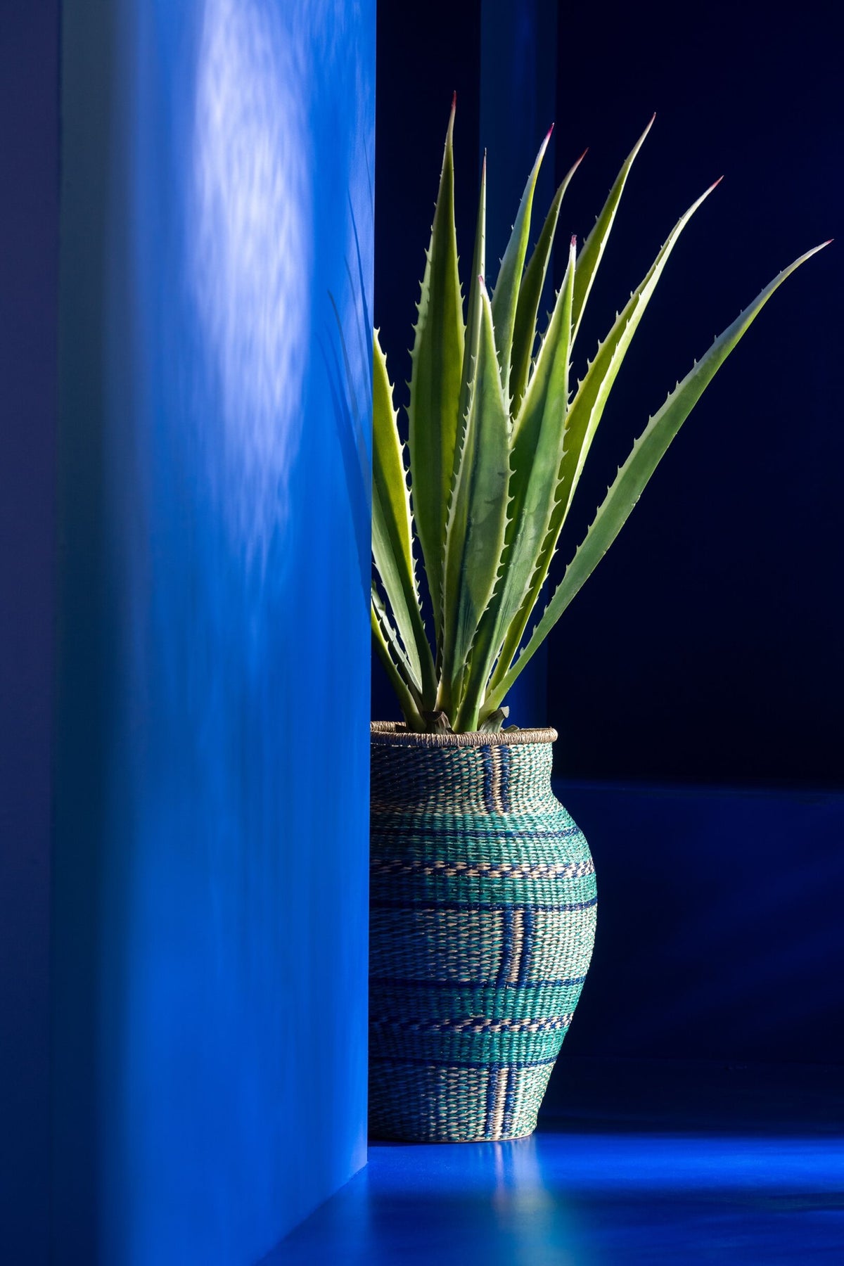 Agave Blanc Cassé Vert Artificiel 80x80x150cm