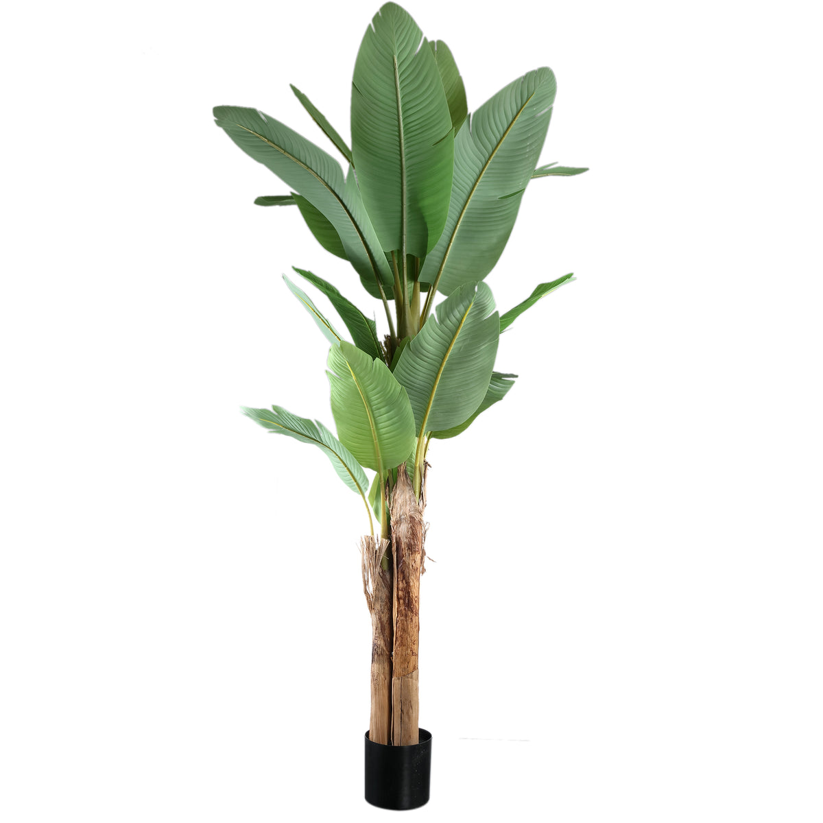 Tree Green PE Real Touch Bananier L 170x163x280cm PTMD