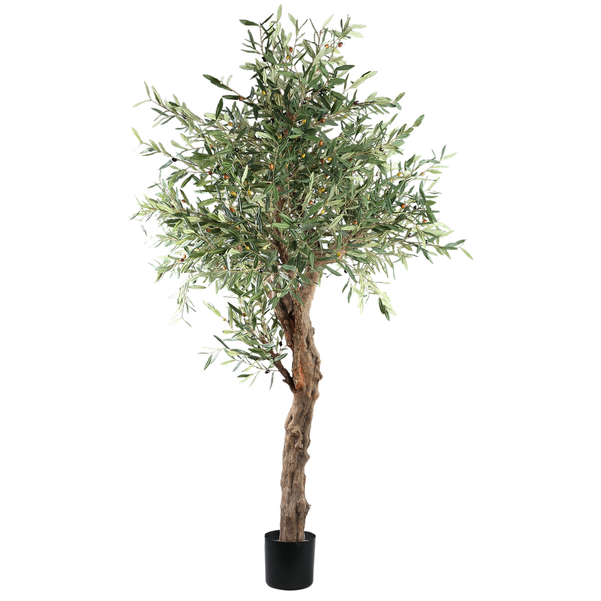 Arbre Olivier Vert En Pot 120x120x210cm PTMD