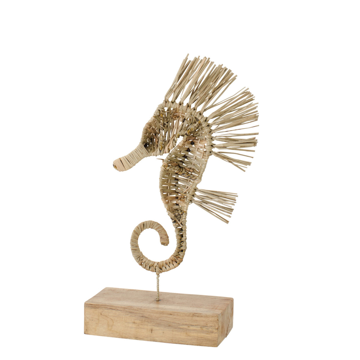 Hippocampe Sur Patte Herbe Naturel Petit J-Line