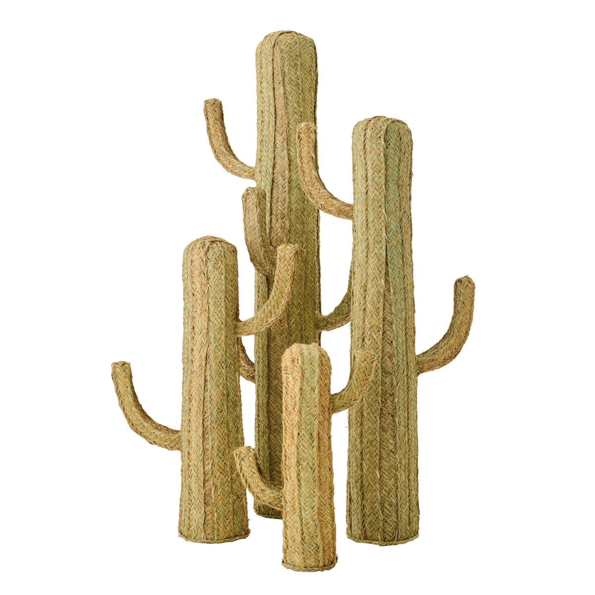 Herbe de cactus naturelle extra large J-Line