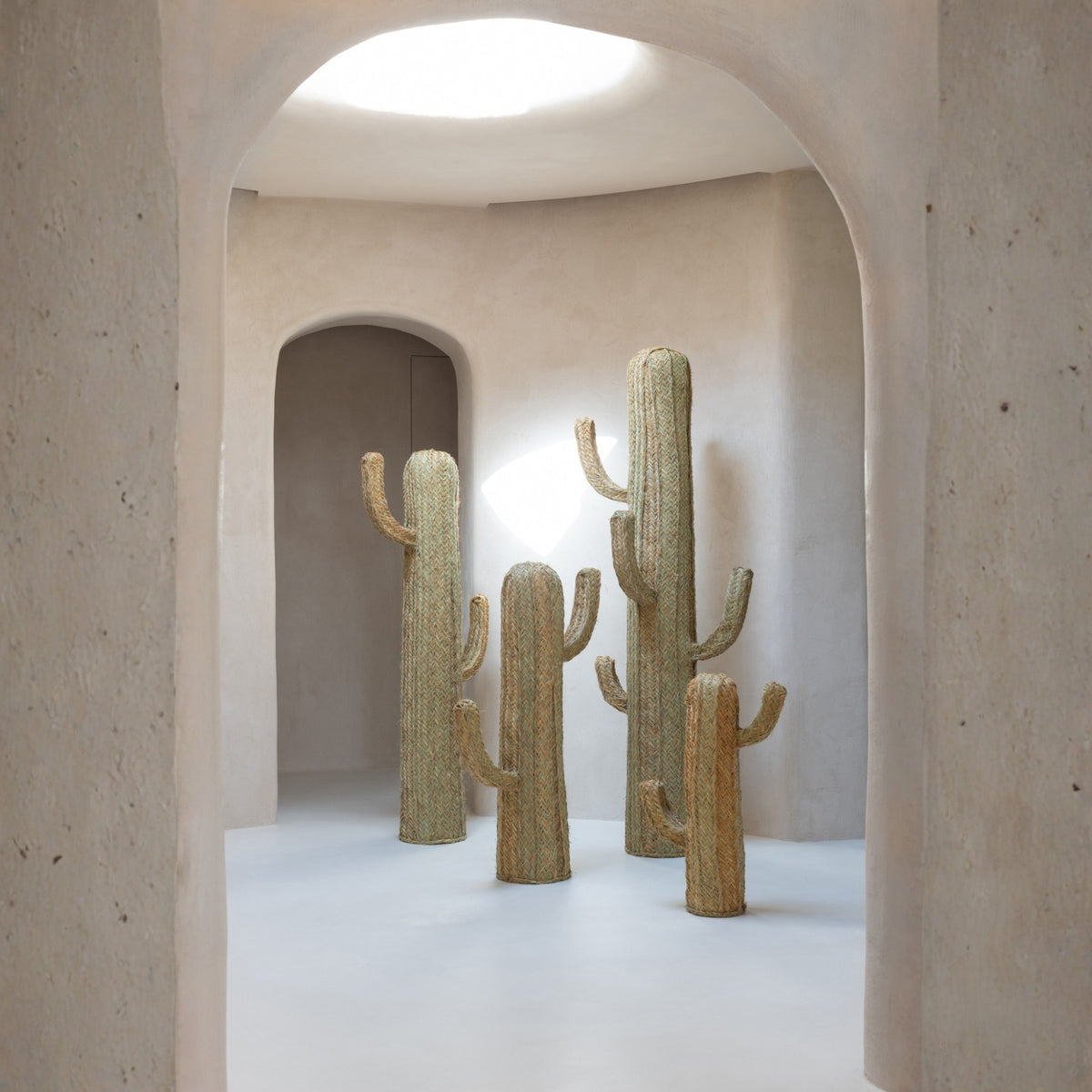 Herbe Cactus Naturelle Grande J-Line