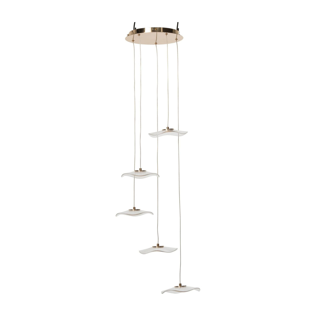 Suspension Fleur Acrylique Or Large J-Line