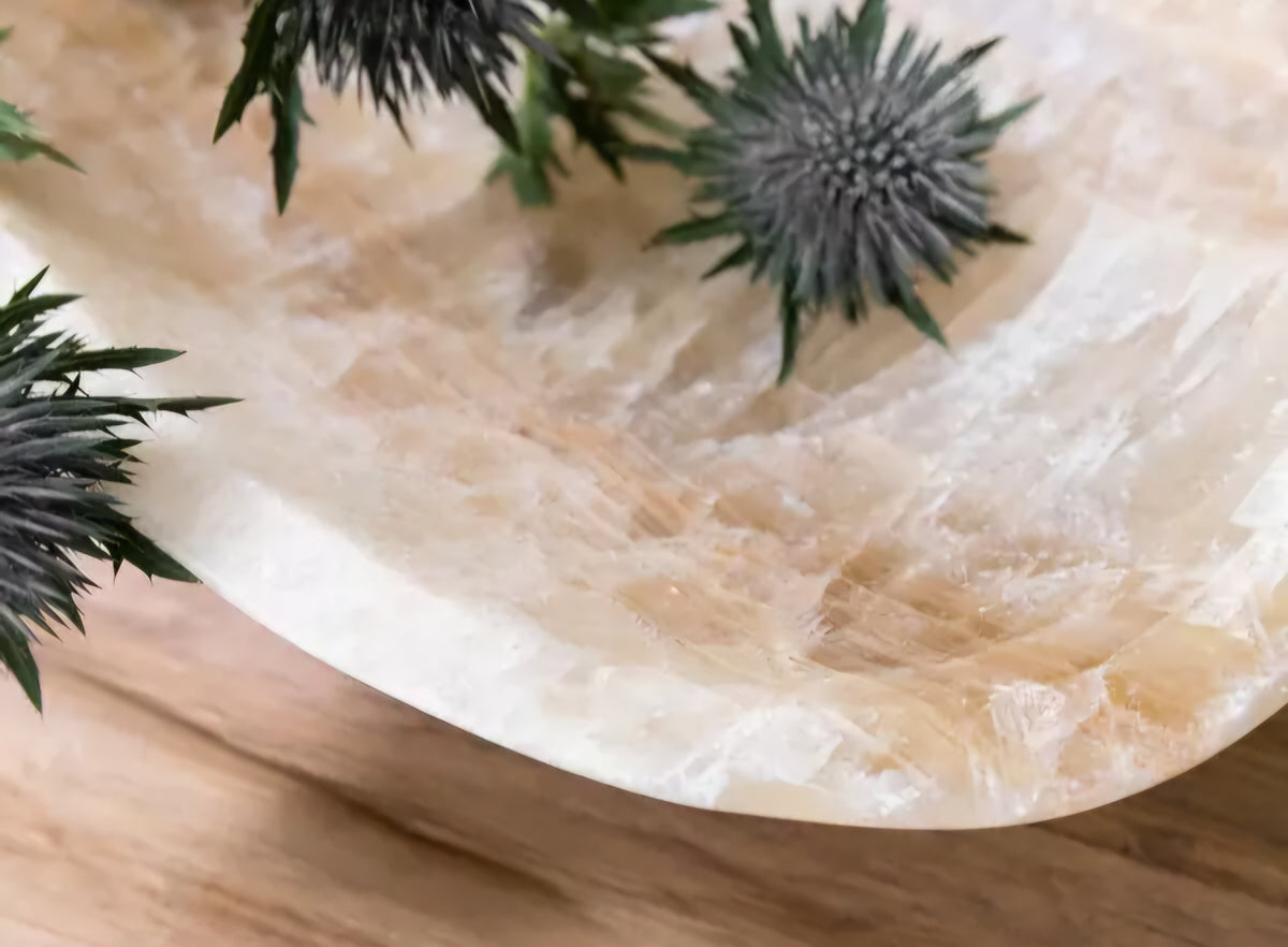 Must Living Schaal Bean - Schaal - MUST Living - livinglovely.nl