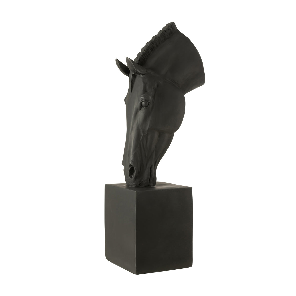 Cheval sur pied noir large J-Line