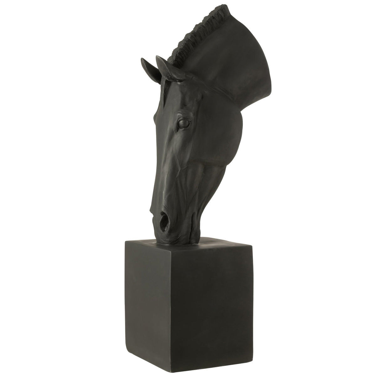 Cheval sur pied noir large J-Line