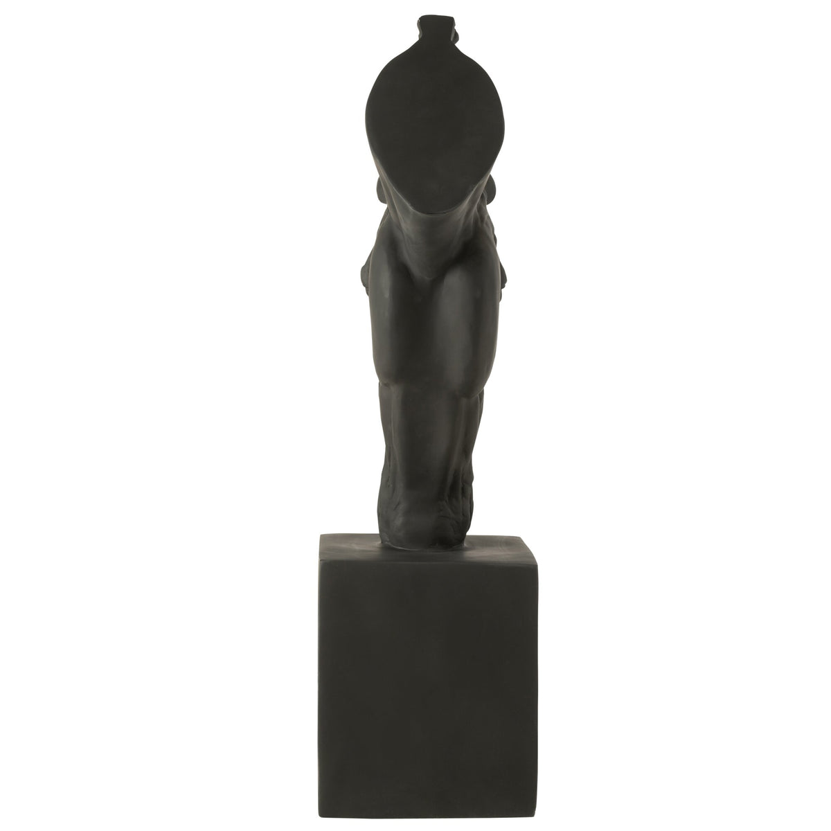 Cheval sur pied noir large J-Line