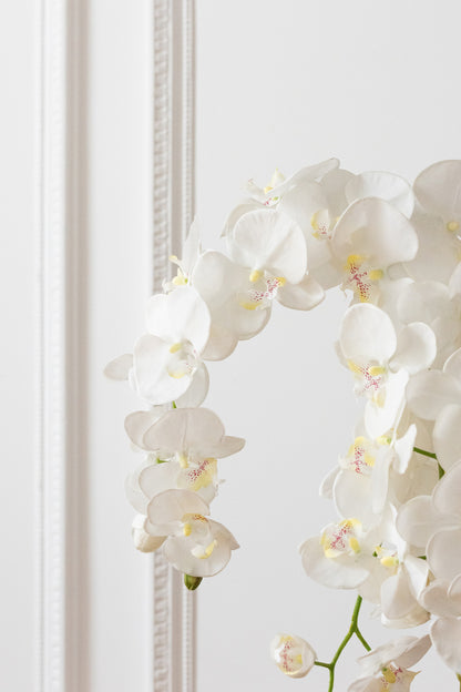 Orchidée en terre plastique blanc/vert, grande taille, 32 x 32 x 75 cm