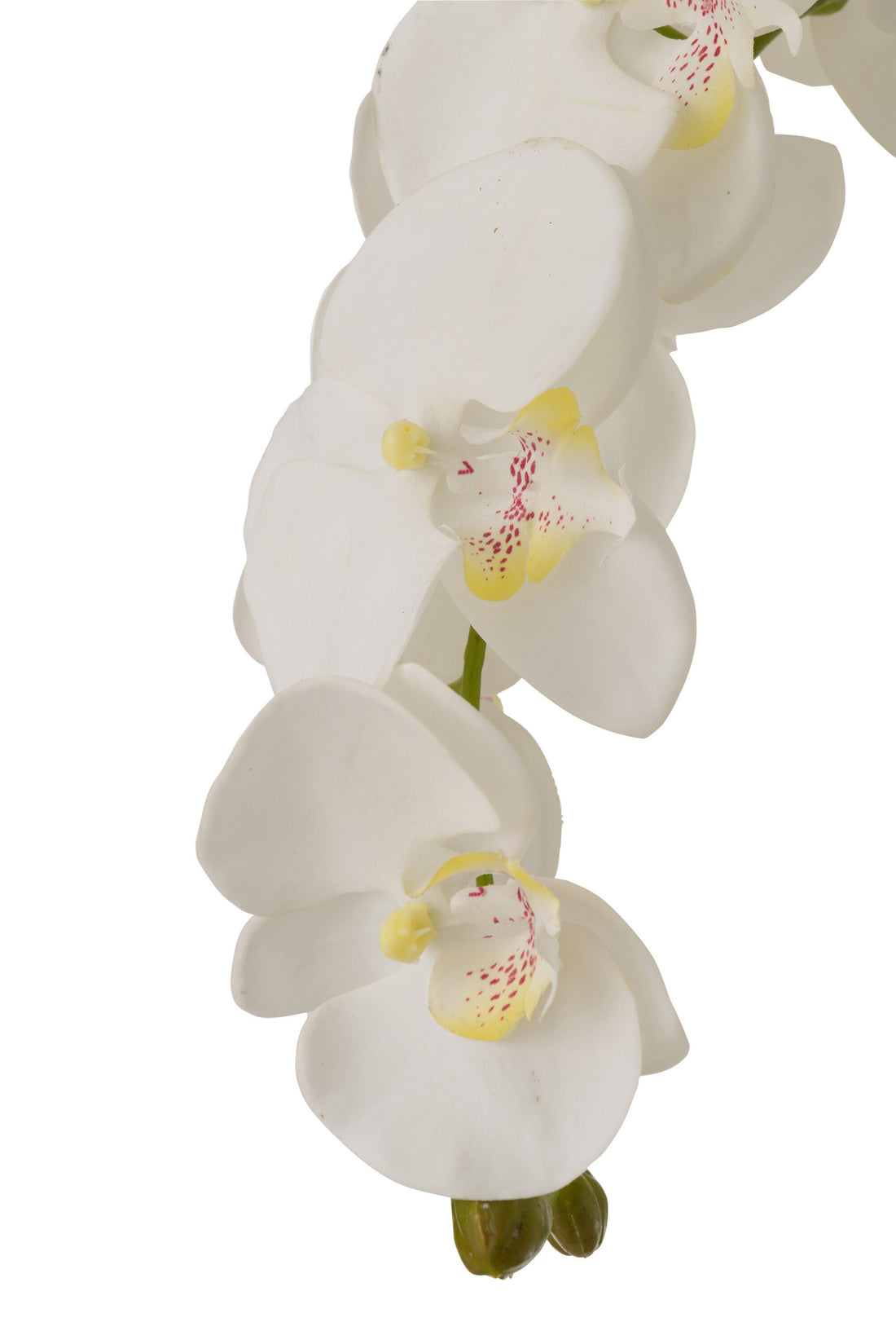 Orchidée En Terre Plastique Blanc/Vert Extra Large L60cmb53cmh104cm