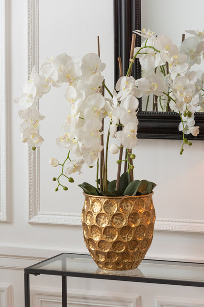 Orchidée En Terre Plastique Blanc/Vert Extra Large L60cmb53cmh104cm J-Line