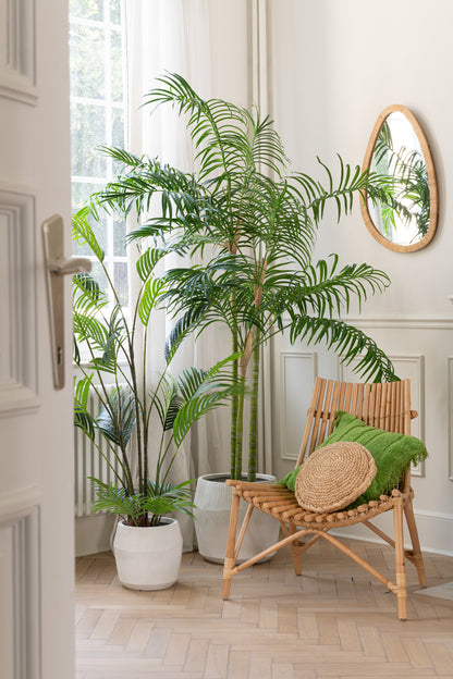 Palmier en bambou en pot plastique vert/noir, petit, J-Line