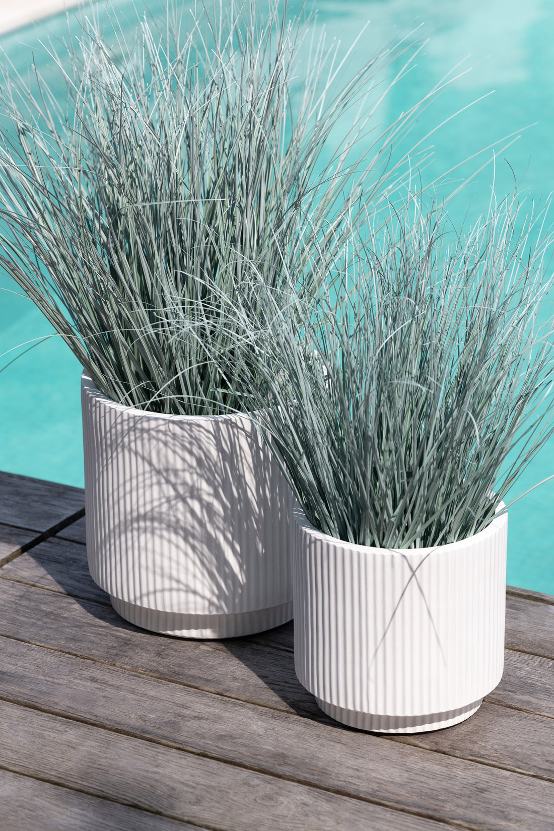 Herbes en pot Métal Plastique Bleu/Vert Moyen