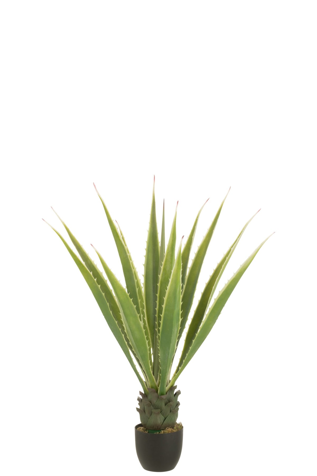Agave Blanc Cassé Vert Artificiel 80x80x150cm