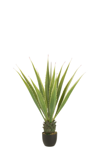 Agave Blanc Cassé Vert Artificiel 80x80x150cm