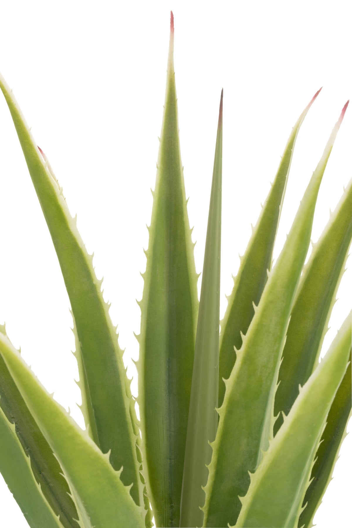Agave Blanc Cassé Vert Artificiel 80x80x150cm