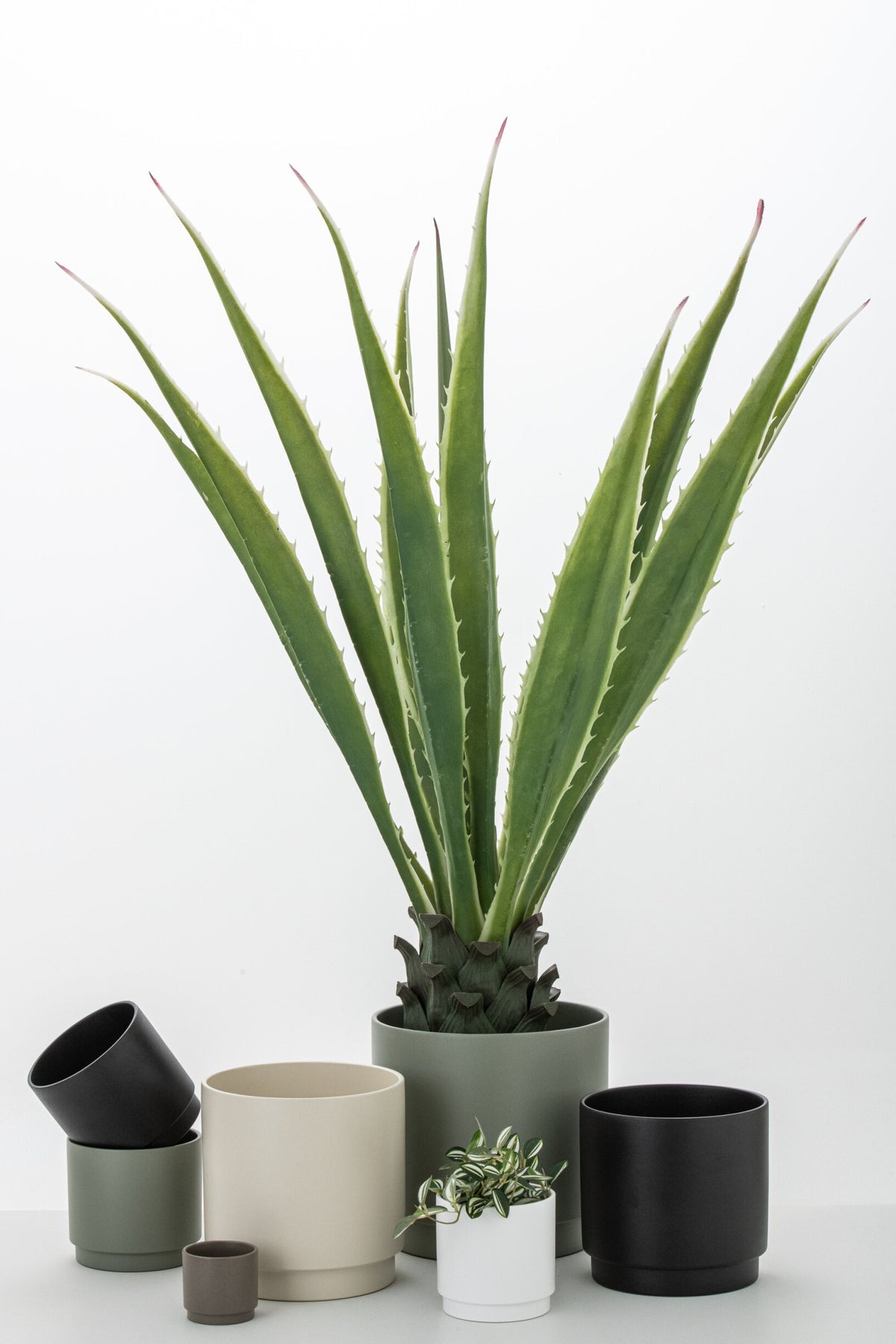 Agave Blanc Cassé Vert Artificiel 80x80x150cm