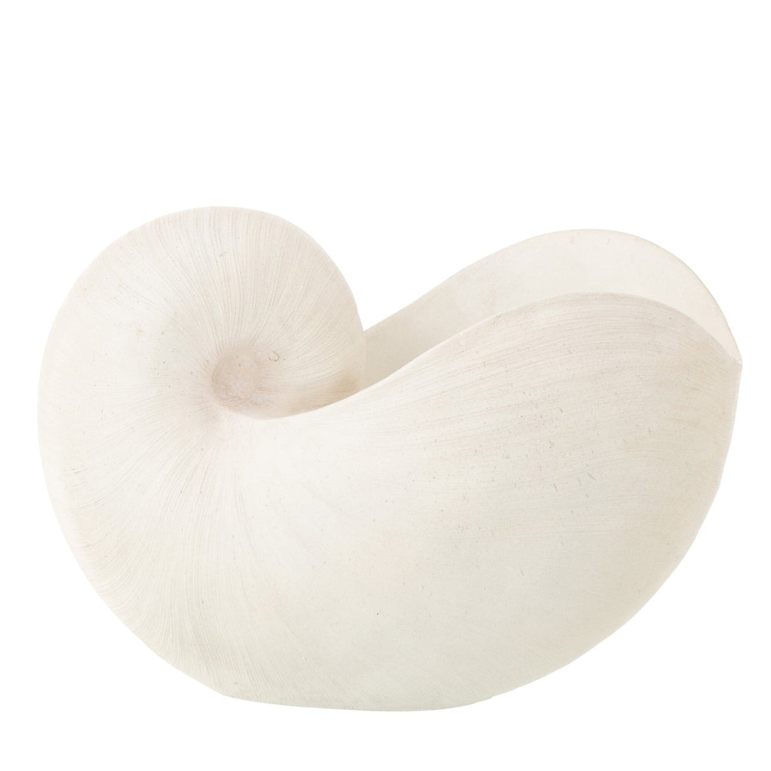 Coquillage Résine Blanc J-Line