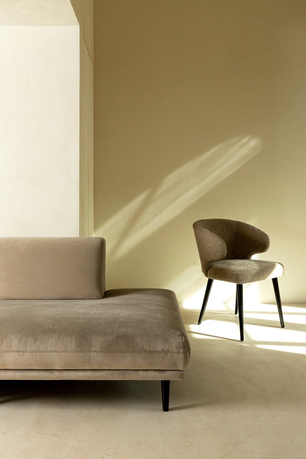 Chaise de salle à manger Fiori Cream 6051 PTMD