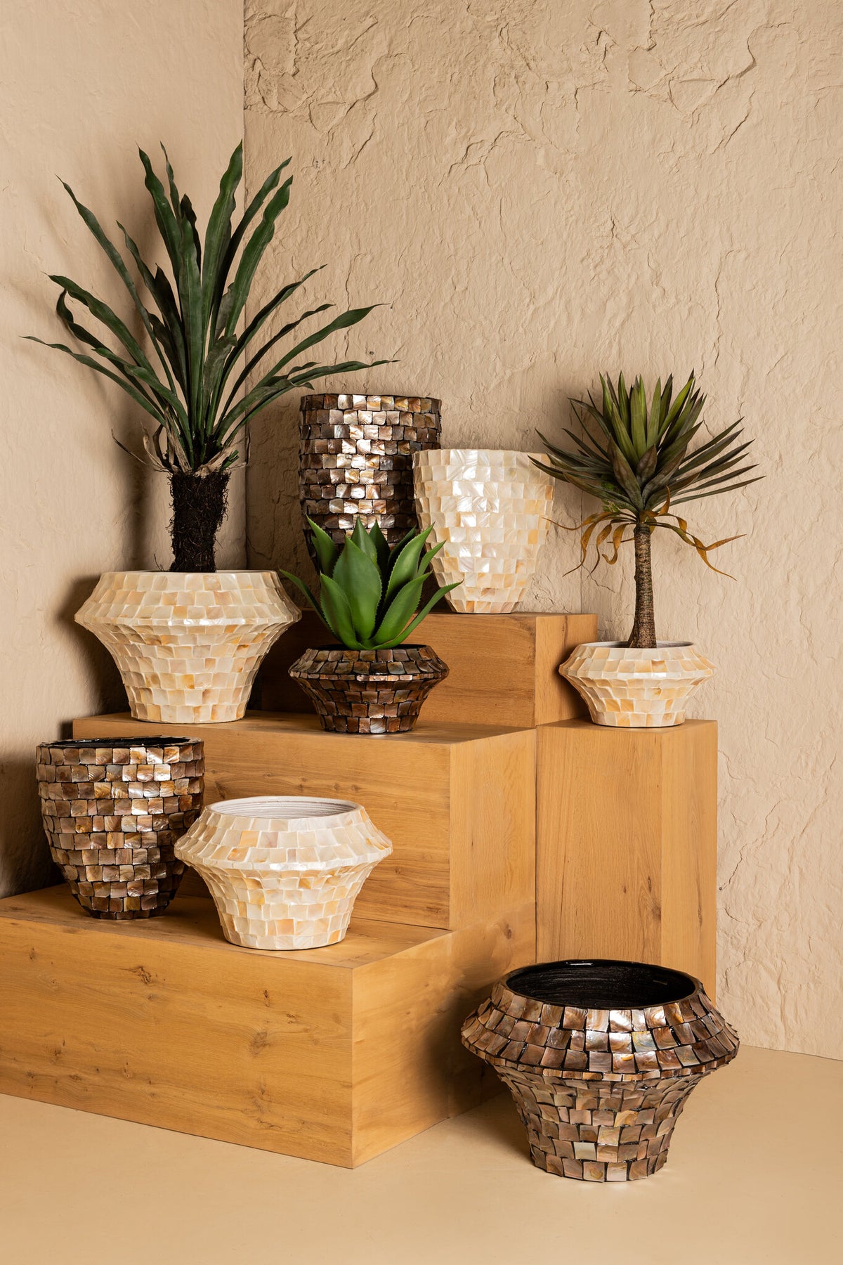 Daven Cream Coque Poly Pot Bambou Rond Bas Grand PTMD