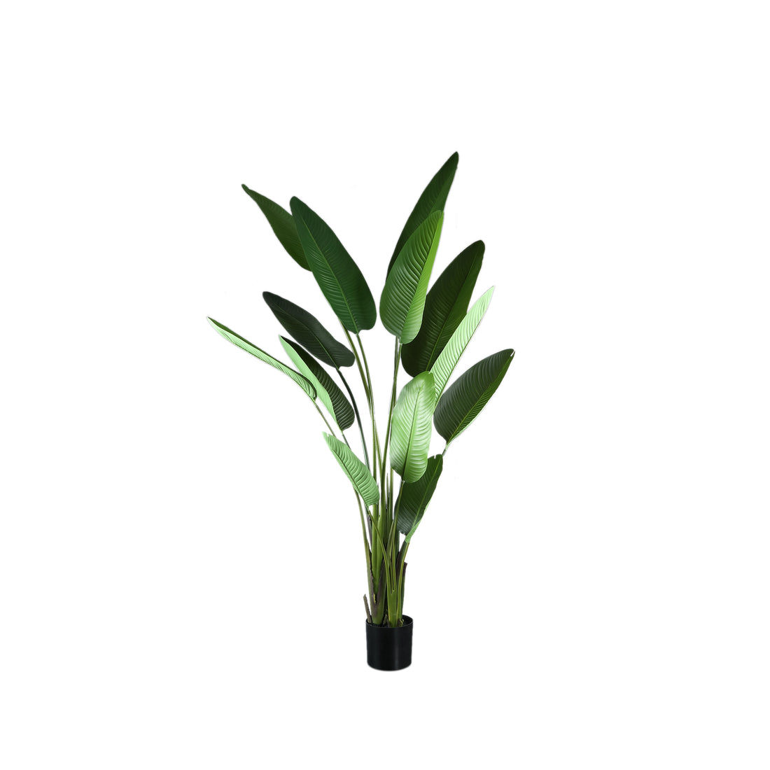 Plante artificielle Strelitzia en PE vert Real Touch L 110x63x235cm PTMD