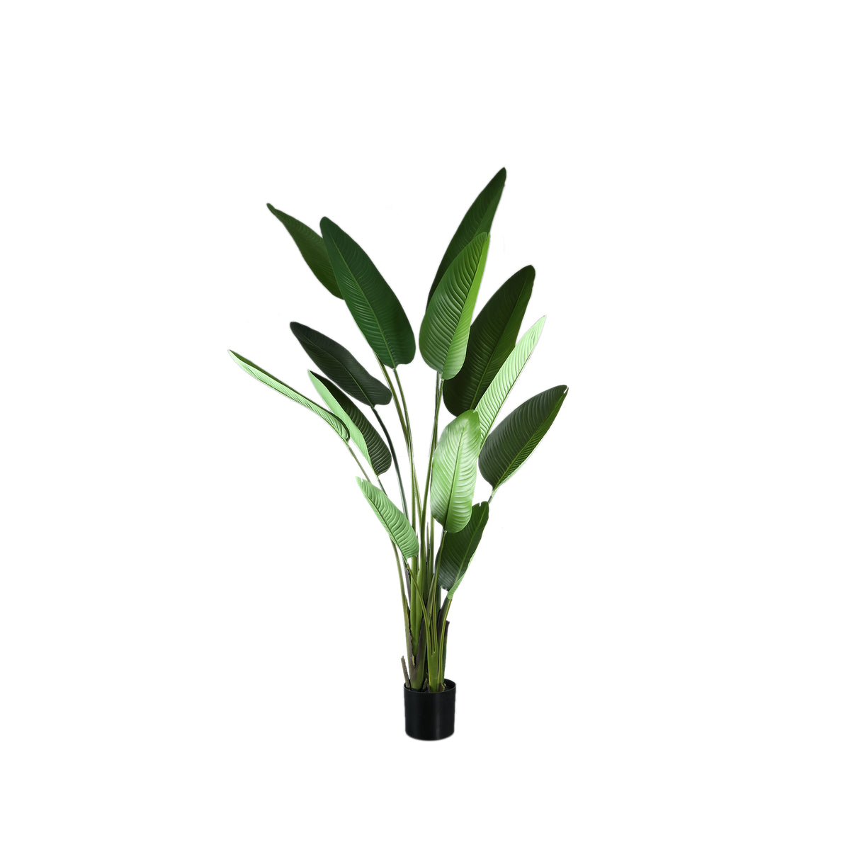 Plante artificielle Strelitzia en PE vert Real Touch L 110x63x235cm PTMD