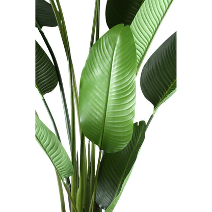 Plante artificielle Strelitzia en PE vert Real Touch L 110x63x235cm PTMD