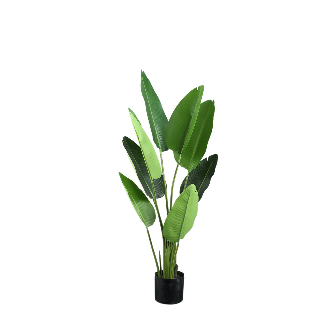 Plante artificielle Strelitzia en PE vert Real Touch S 77x56x117cm PTMD