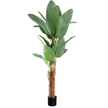 Tree Green PE Real Touch Bananier L 170x163x280cm PTMD