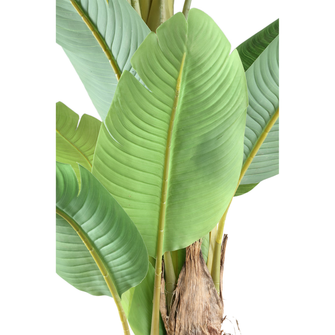 Tree Green PE Real Touch Bananier L 170x163x280cm PTMD