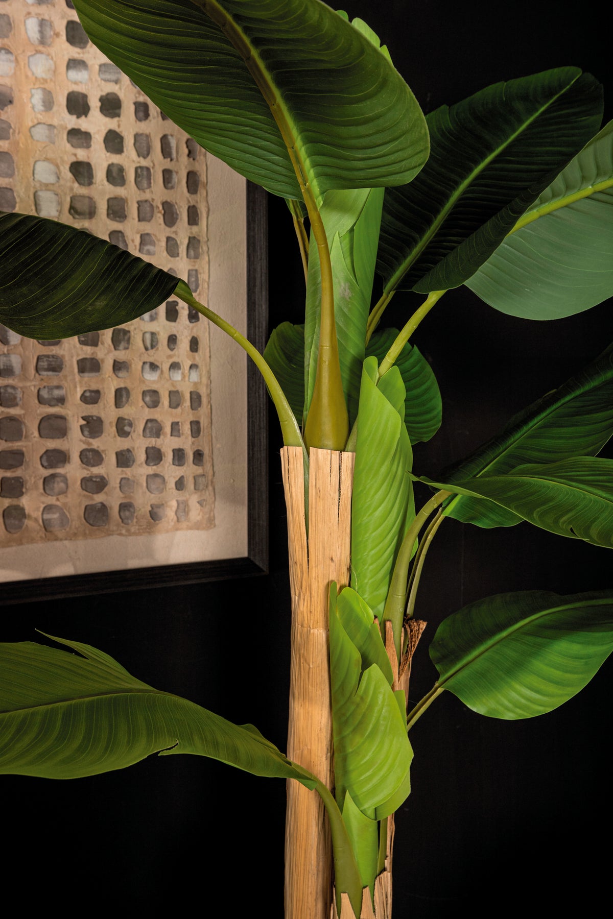Tree Green PE Real Touch Bananier L 170x163x280cm PTMD
