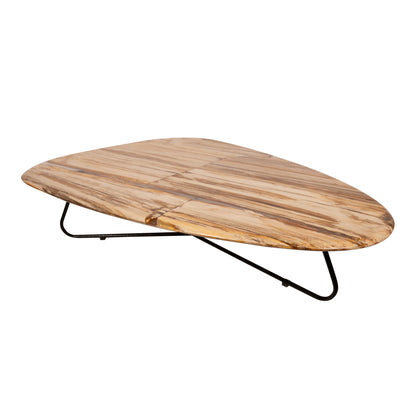Table basse Deeba en bois pétrifié 130 PTMD