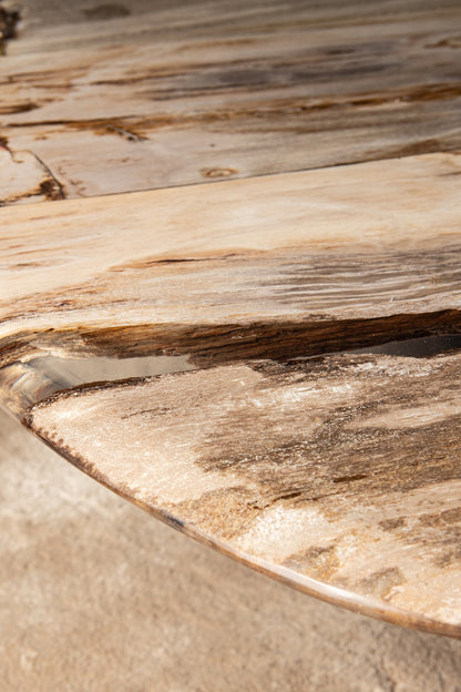 Table basse Deeba en bois pétrifié 130 PTMD