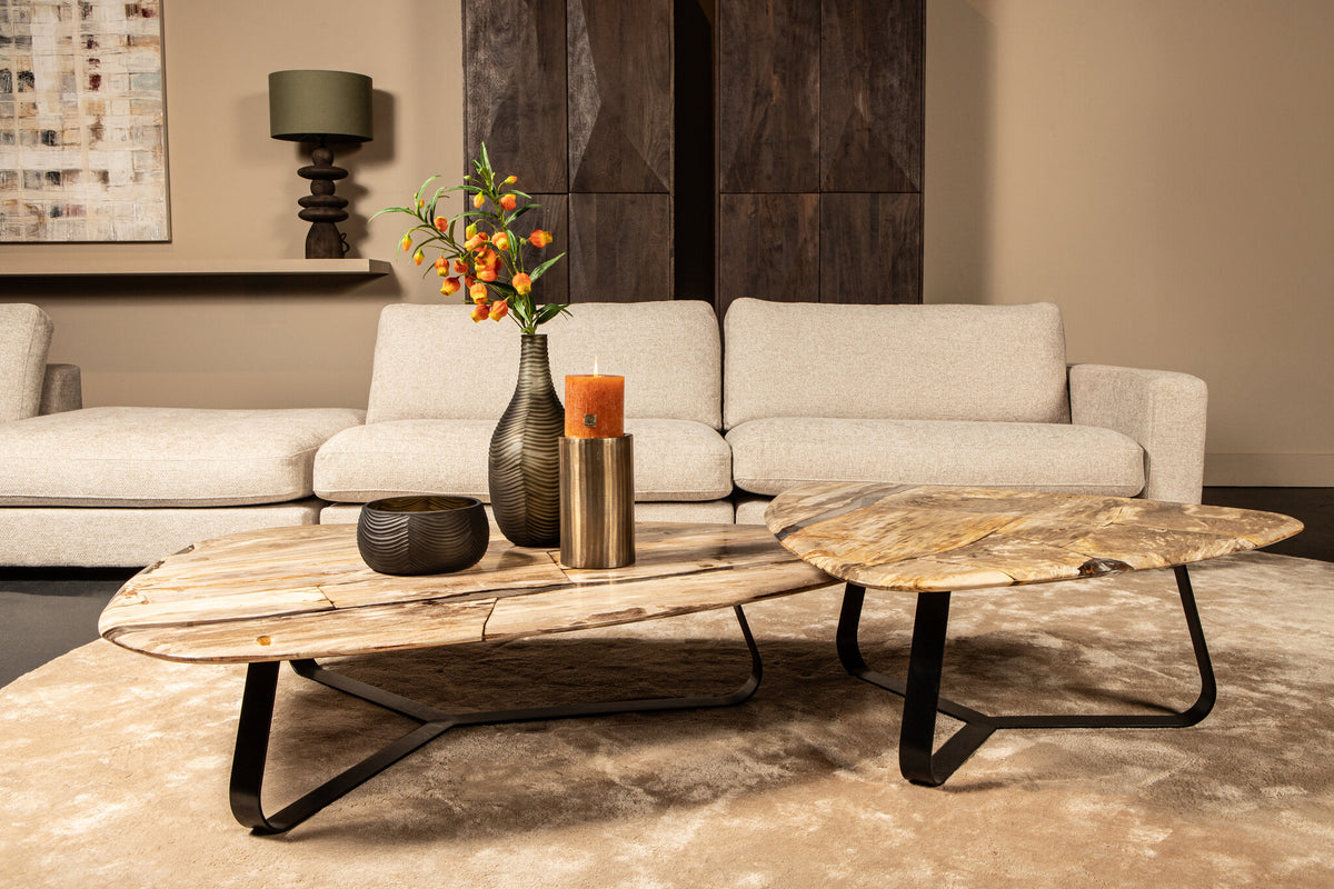 Table basse Deeba Bois pétrifié 95 PTMD
