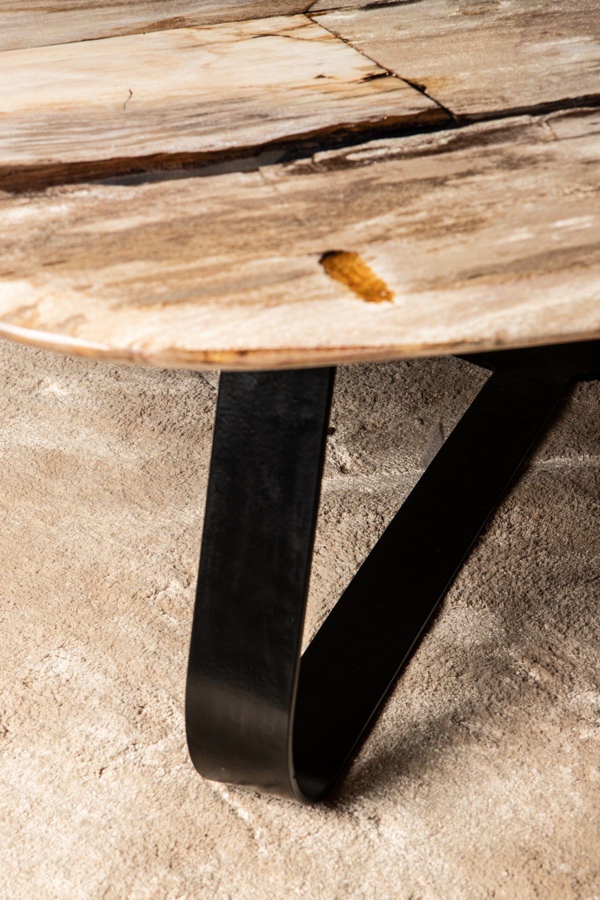 Table basse Deeba Bois pétrifié 95 PTMD