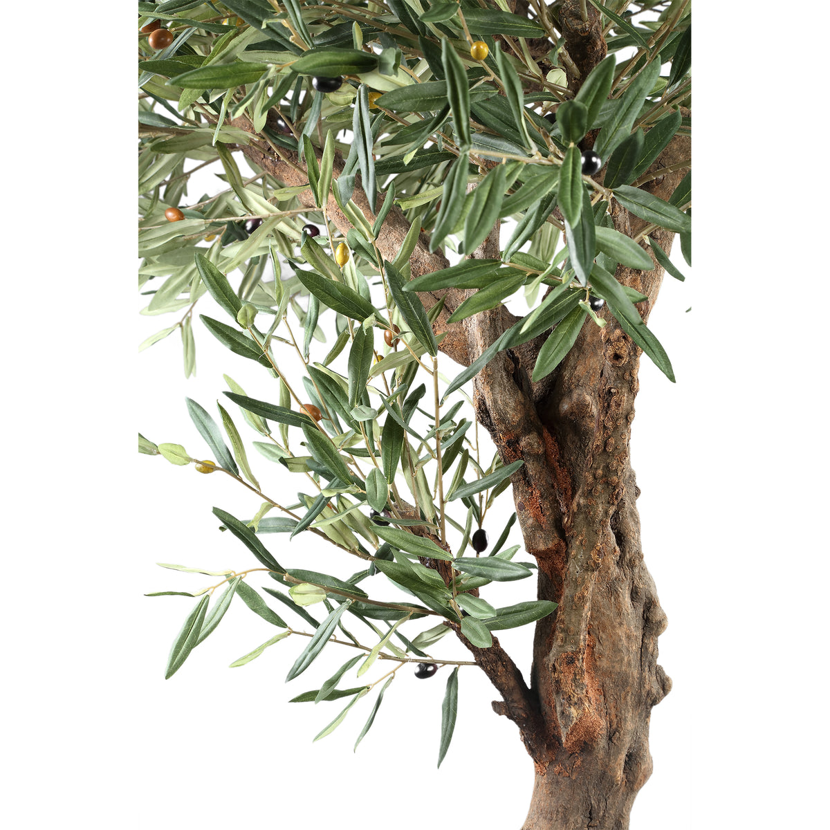 Arbre Olivier Vert En Pot 120x120x210cm PTMD