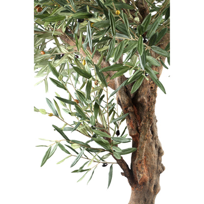 Arbre Olivier Vert En Pot 120x120x210cm PTMD