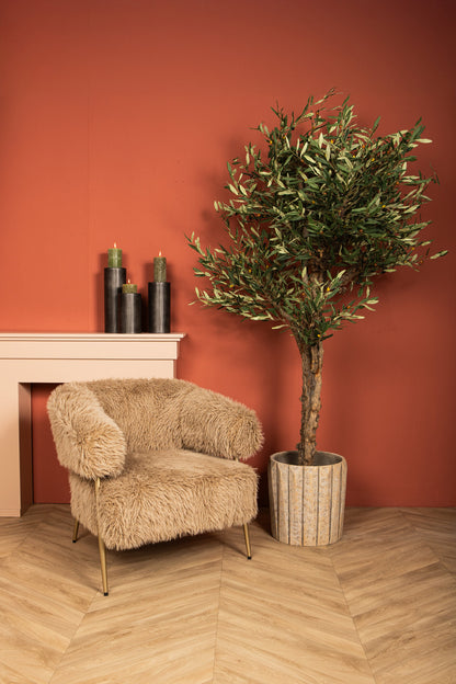 Arbre Olivier Vert En Pot 120x120x210cm PTMD