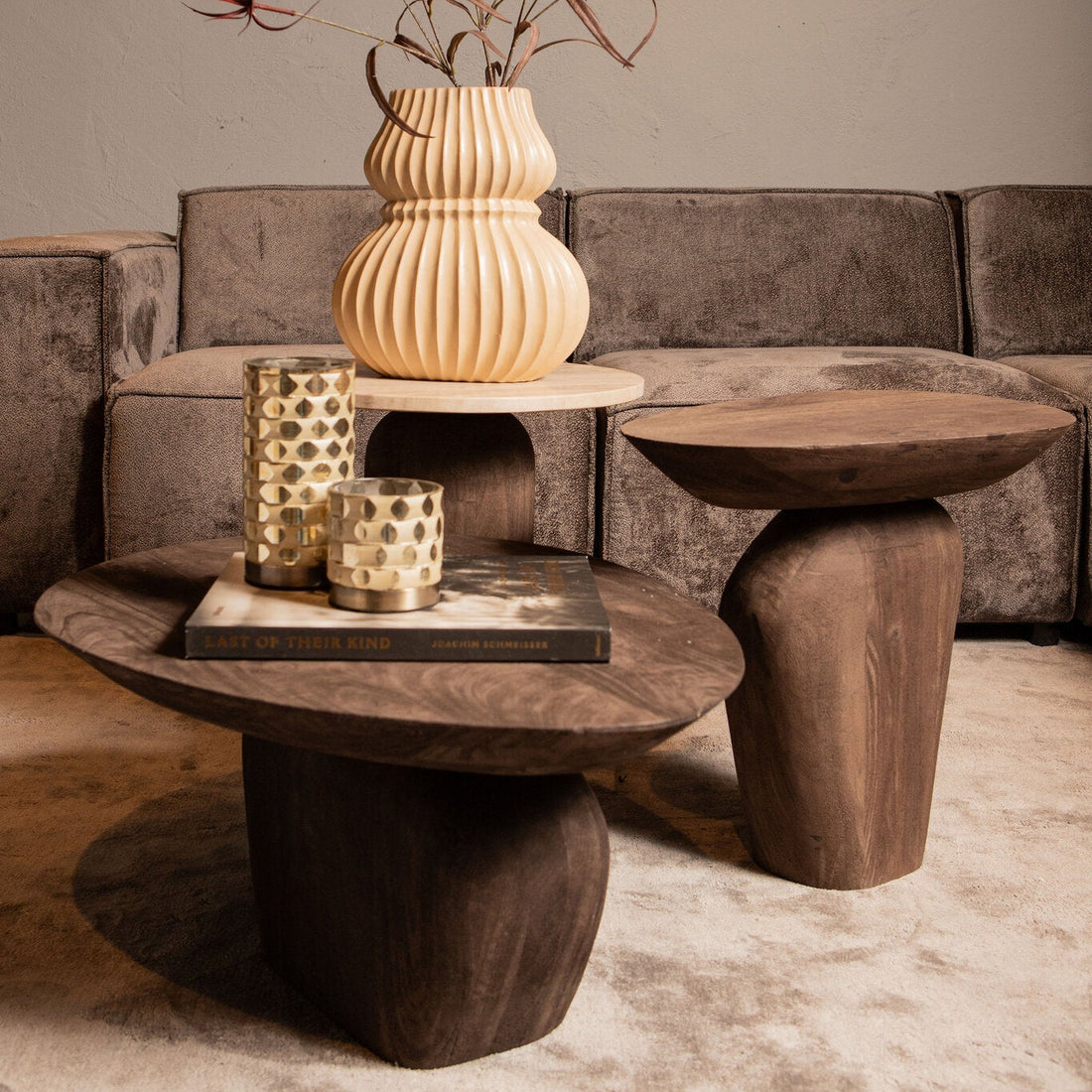 Table basse Harshad en bois de manguier marron, forme organique, PTMD