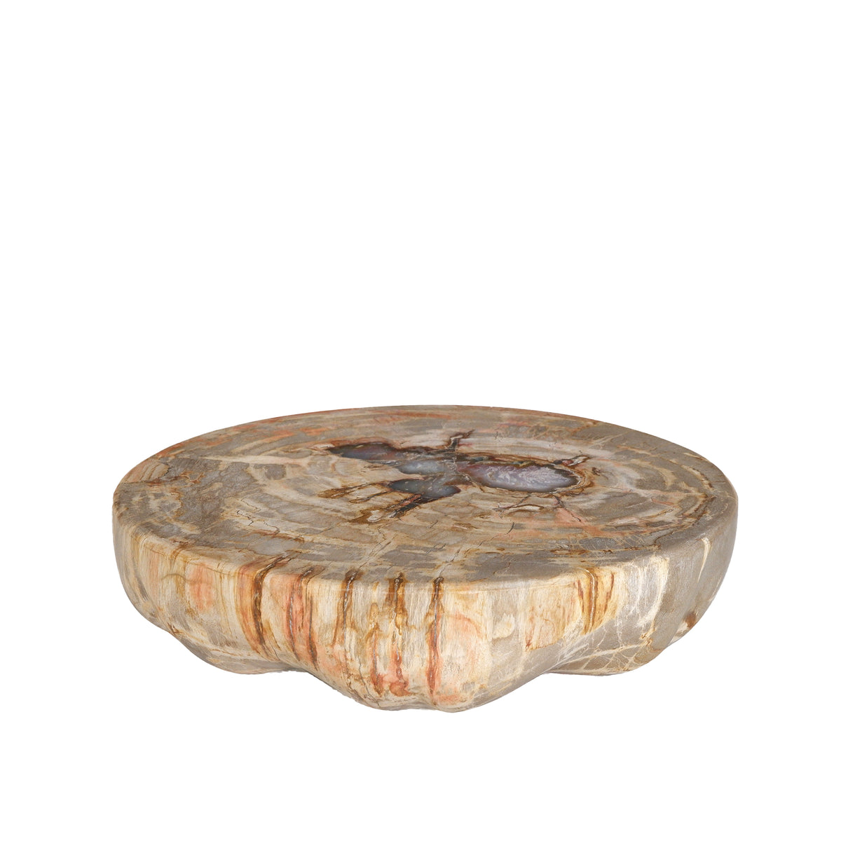 Présentoir demi-sphère en bois pétrifié naturel Bethe L PTMD