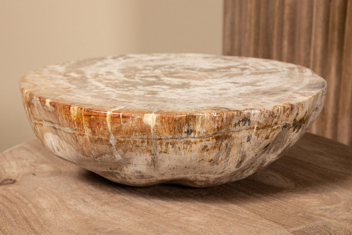 Présentoir demi-sphère en bois pétrifié naturel Bethe L PTMD