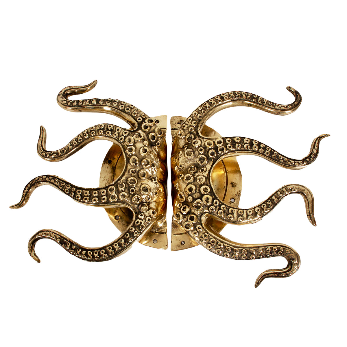 Ensemble unique de boutons de porte en laiton Octopus de 2 Pole to Pole