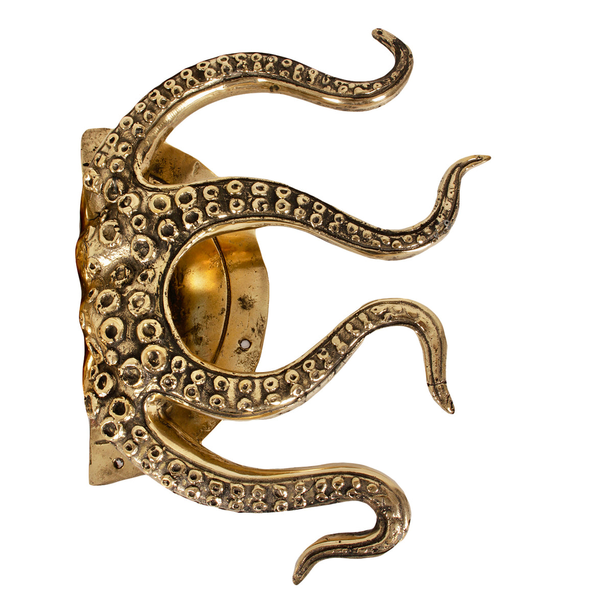 Ensemble unique de boutons de porte en laiton Octopus de 2 Pole to Pole