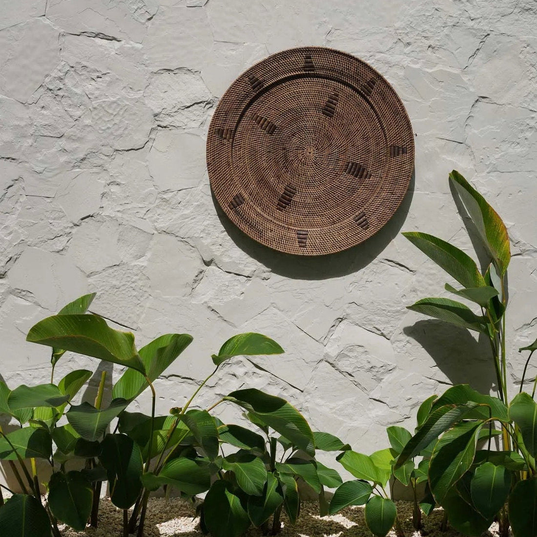 Le plateau Jasmin - Marron - L
