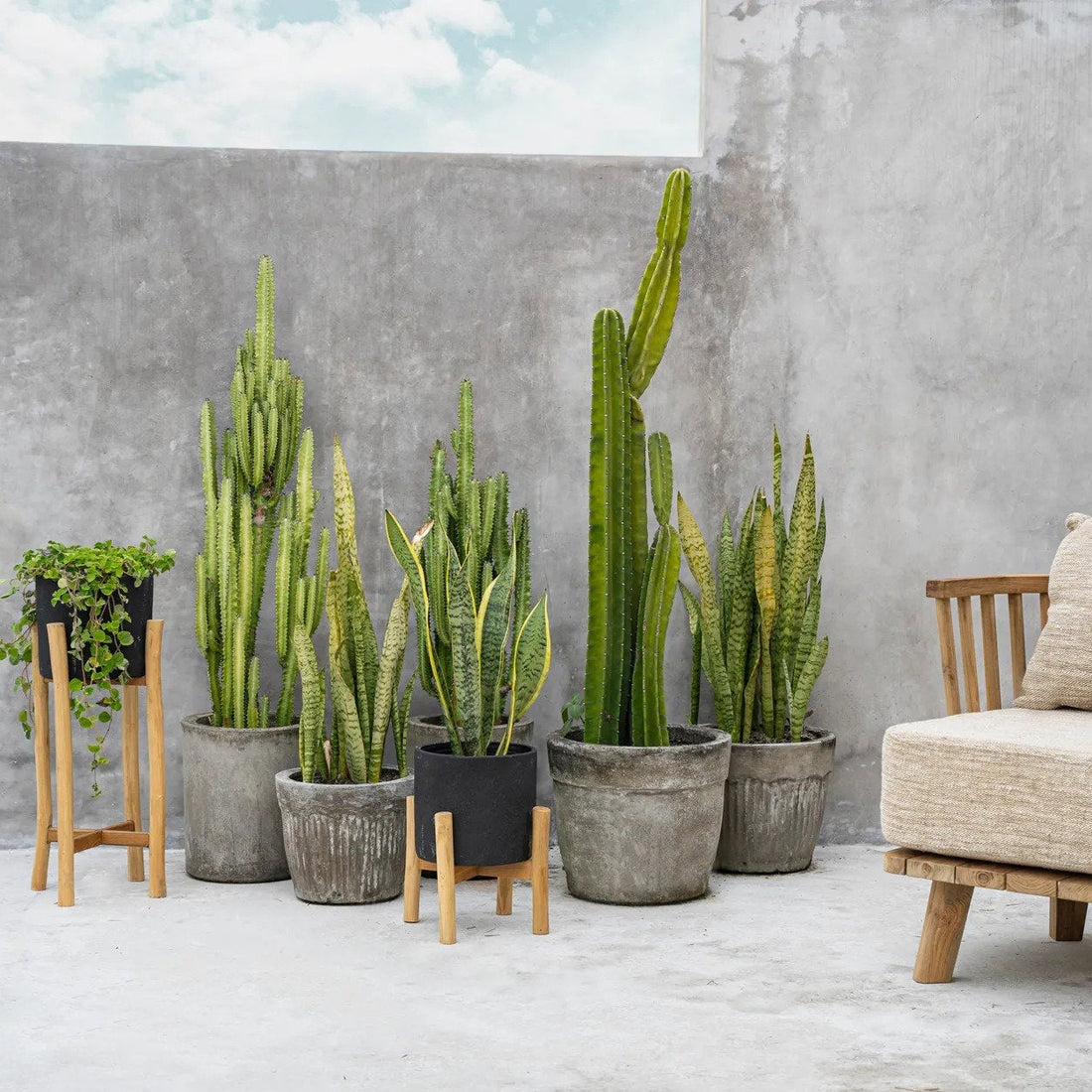 Le grand pot de fleurs Charcoal noir Small Bazar Bizar