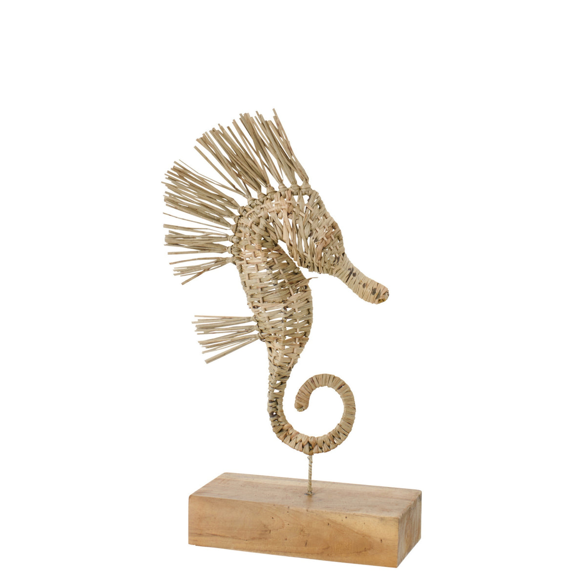 Hippocampe Sur Patte Herbe Naturel Petit J-Line