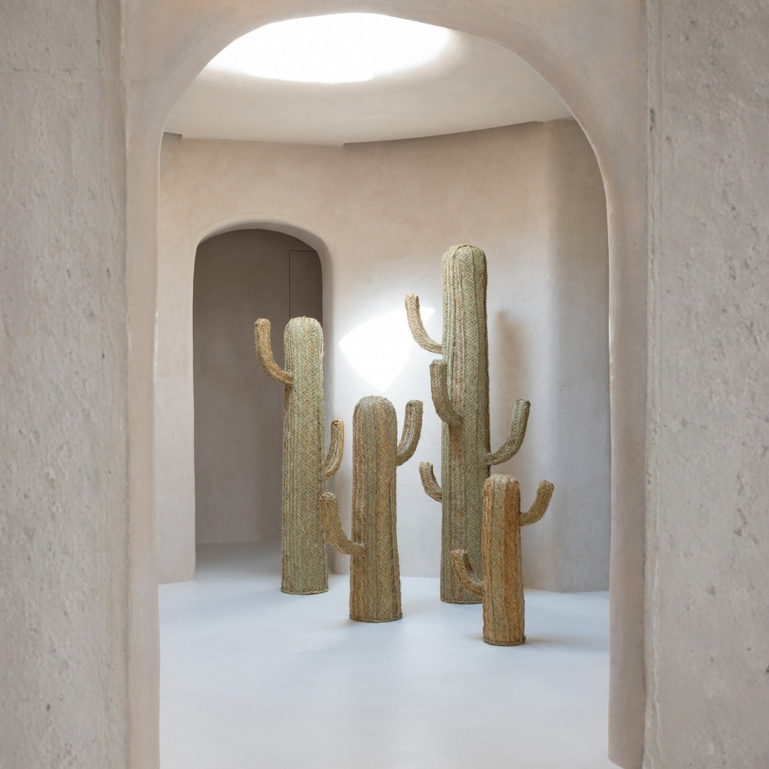 Herbe de cactus naturelle extra large J-Line