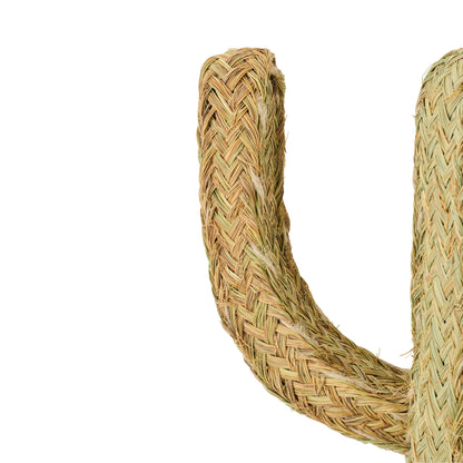 Herbe Cactus Naturelle Grande J-Line