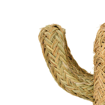Cactus Herbe Naturel Petit J-Line