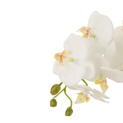Orchidée en terre plastique blanc/vert, grande taille, 32 x 32 x 75 cm